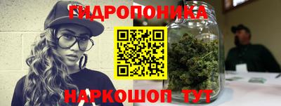 сатива Брянск